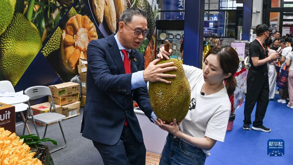转盘在线玩